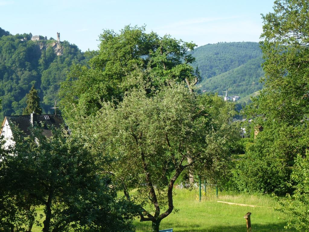 Feriendomizil Im Plantert Apartment Traben-Trarbach Bagian luar foto